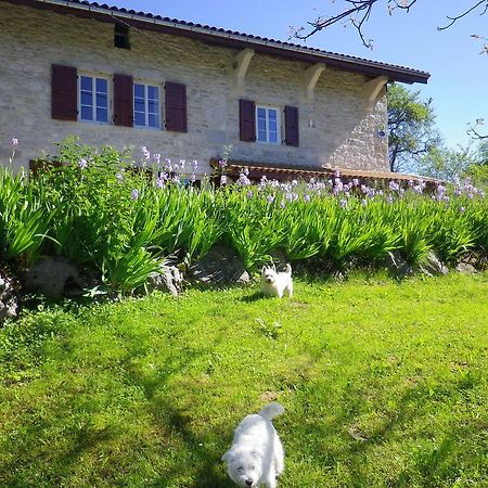 Chambre D'Hotes La Haie Fleurie Chevillard Buitenkant foto