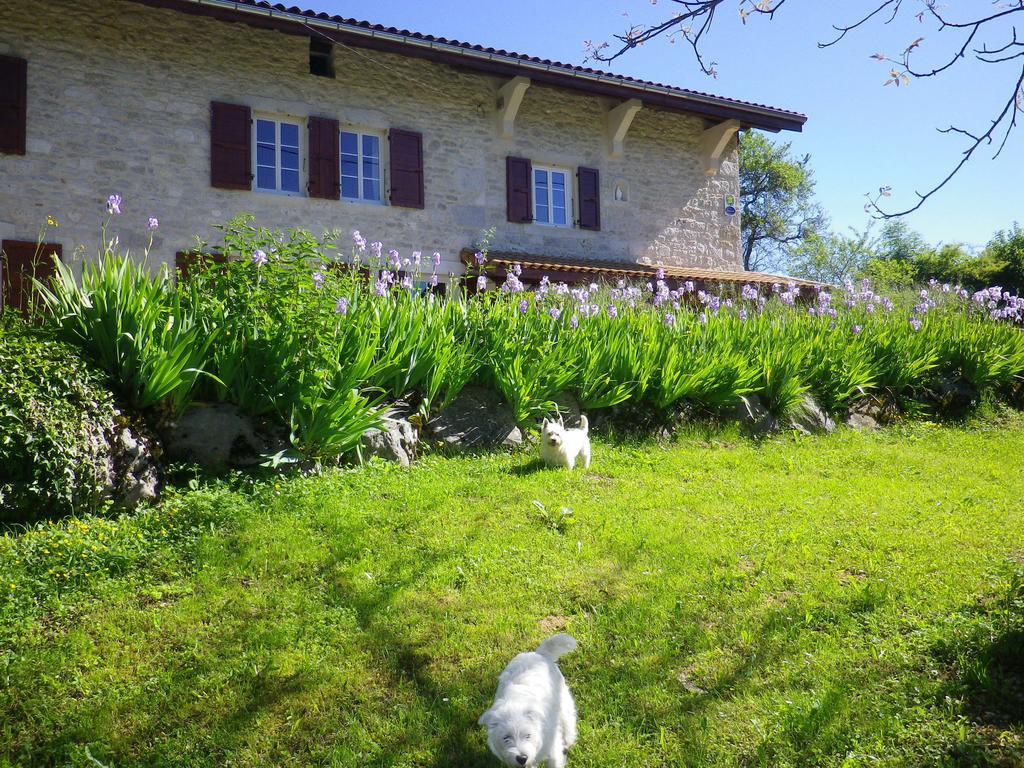 Chambre D'Hotes La Haie Fleurie Chevillard Buitenkant foto